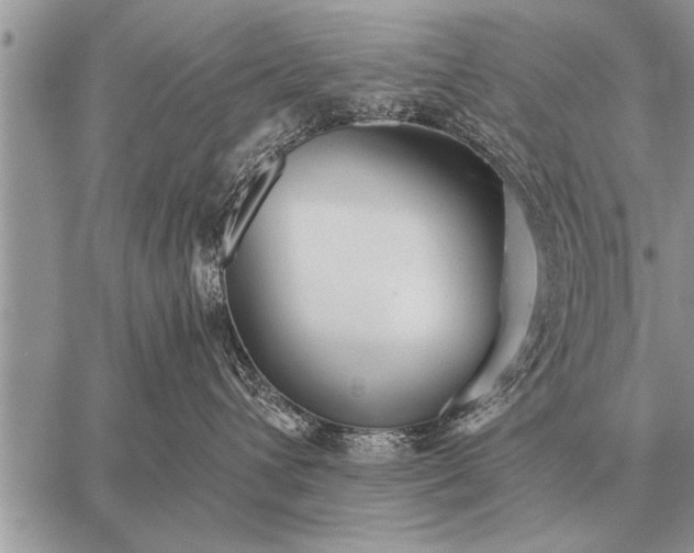 X0000059040432200510171853