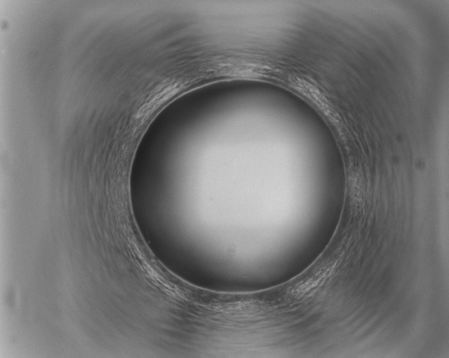 X0000059040433200510171852