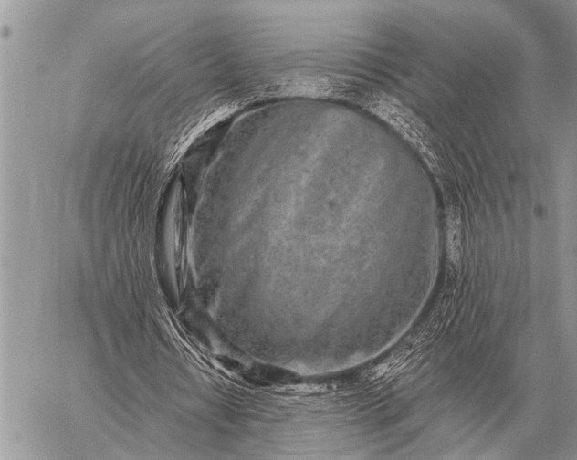 X0000059040434200510171852