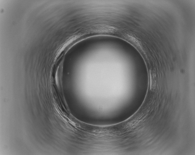 X0000059040435200510171852