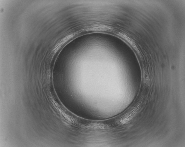 X0000059040437200510171852