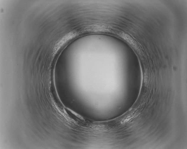 X0000059040438200510171852