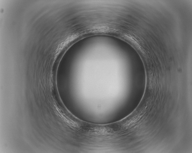 X0000059040439200510171852