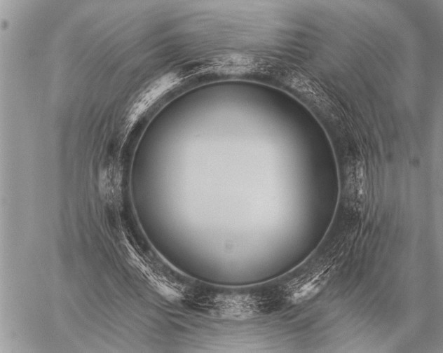 X0000059040440200510171852