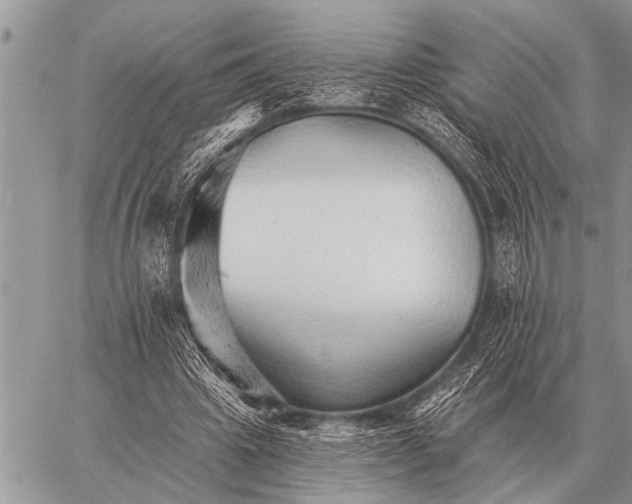 X0000059040441200510171852