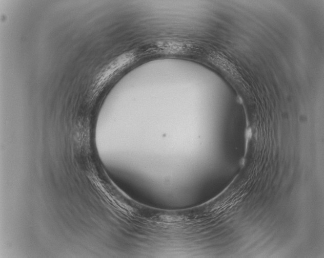 X0000059040442200510171852