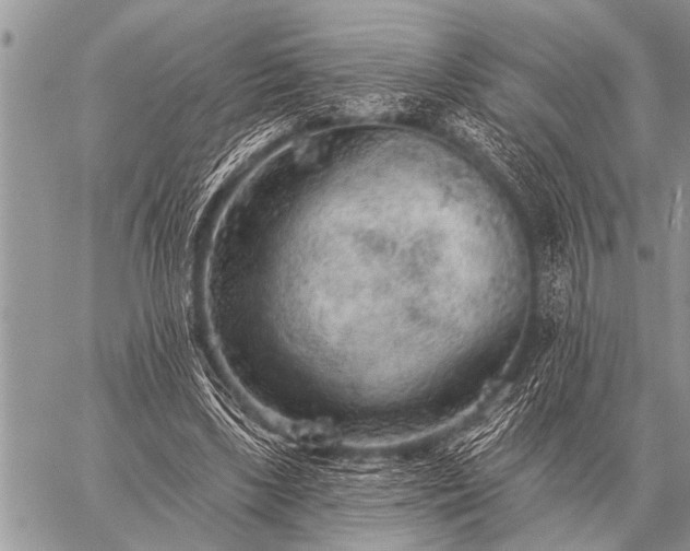 X0000059040443200510171852