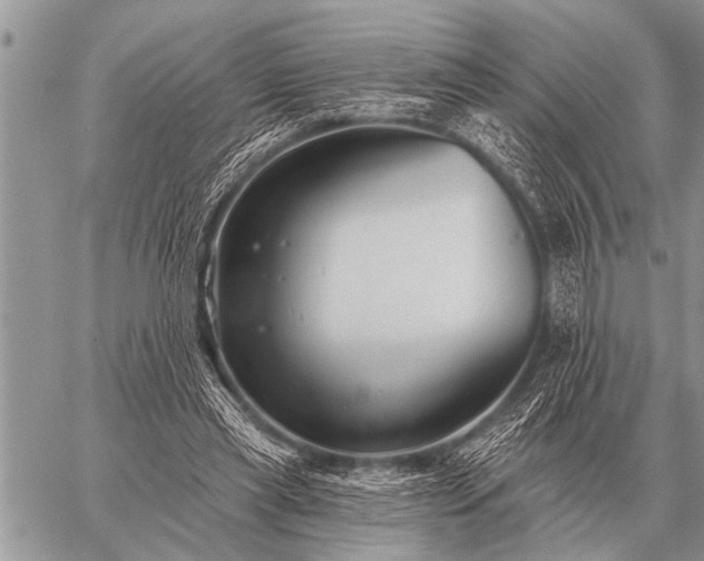 X0000059040445200510171852