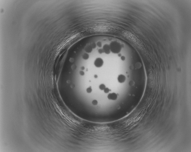 X0000059040446200510171852