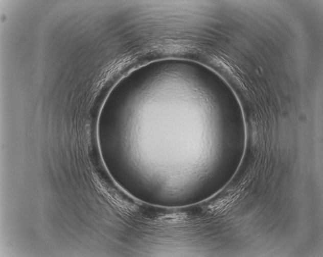 X0000059040447200510171852