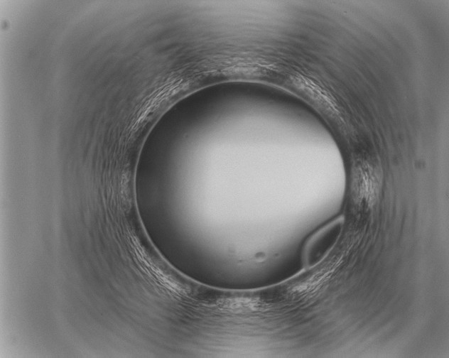 X0000059040449200510171852