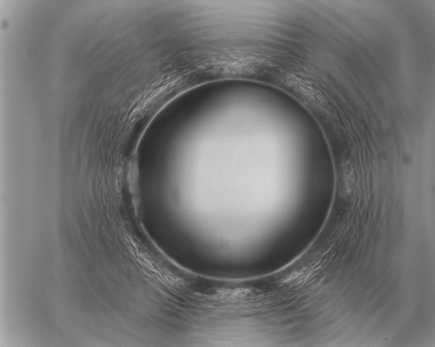 X0000059040450200510171852