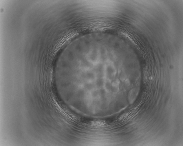 X0000059040451200510171852