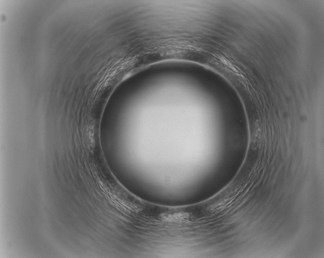 X0000059040452200510171852