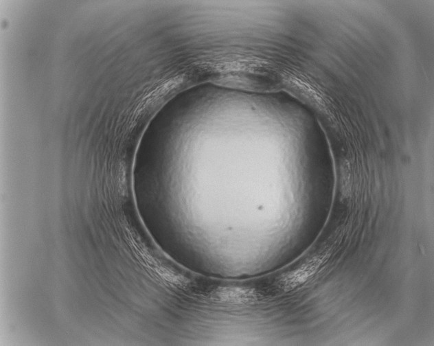 X0000059040453200510171852