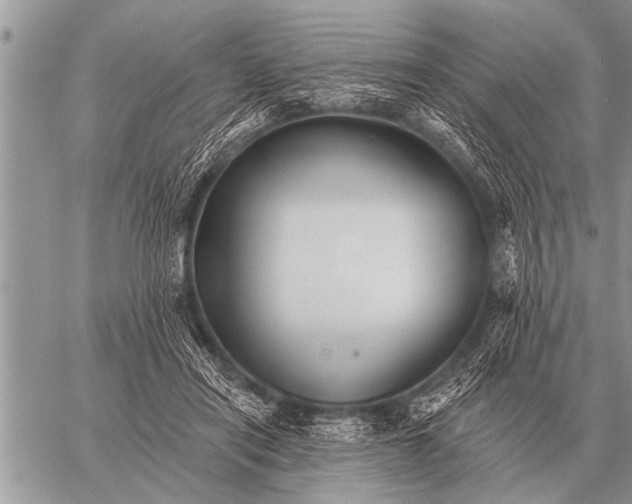 X0000059040454200510171852