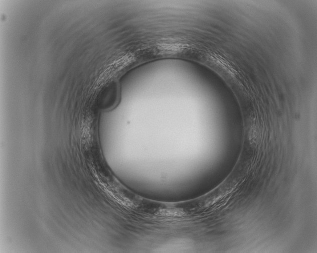 X0000059040455200510171853