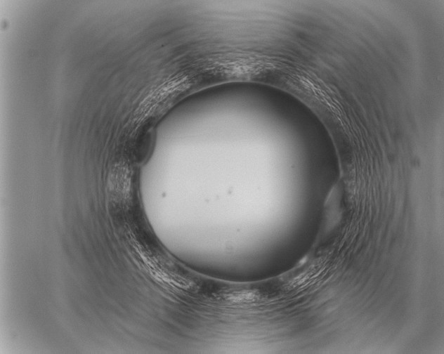 X0000059040456200510171853