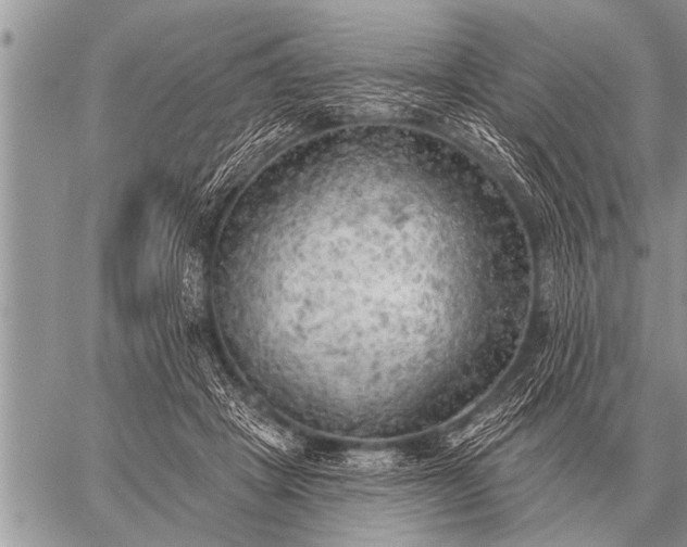 X0000059040457200510171853