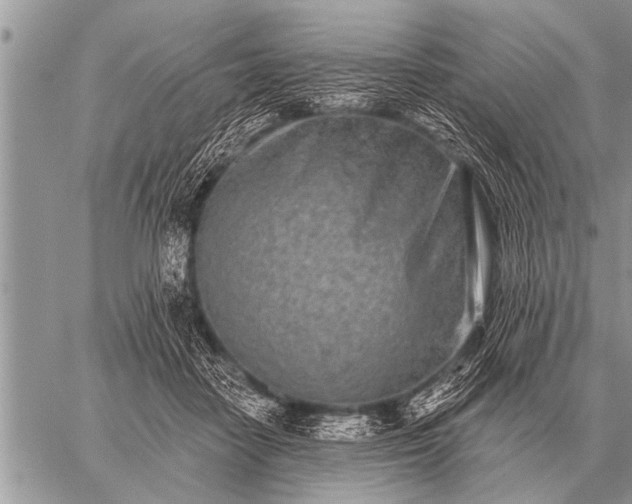 X0000059040458200510171853