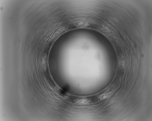 X0000059040460200510171853