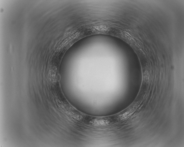 X0000059040464200510171853