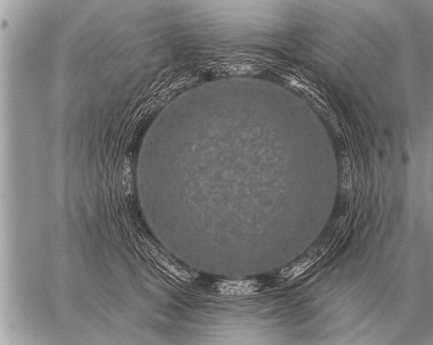 X0000059040465200510171853