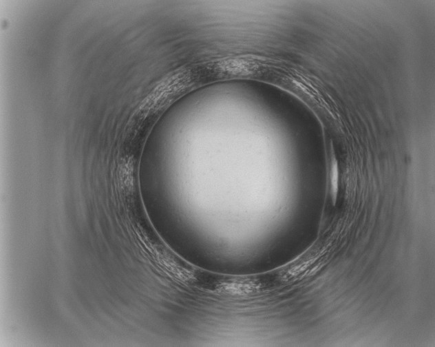 X0000059040466200510171853