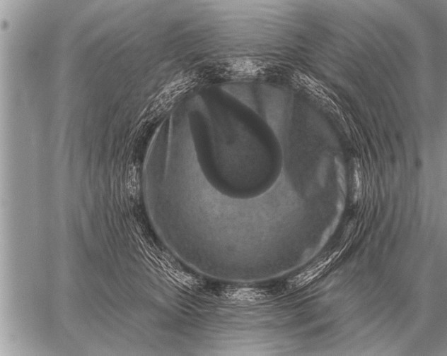 X0000059040467200510171853