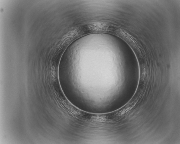 X0000059040469200510171853