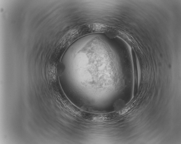 X0000059040470200510171853