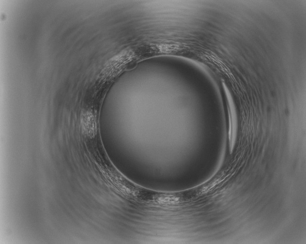 X0000059040471200510171853