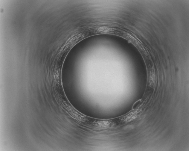 X0000059040473200510171853