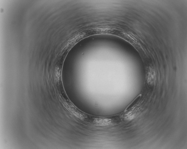 X0000059040476200510171853