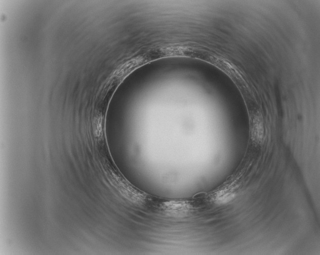 X0000059040477200510171853