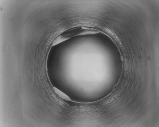 X0000059040481200510171852