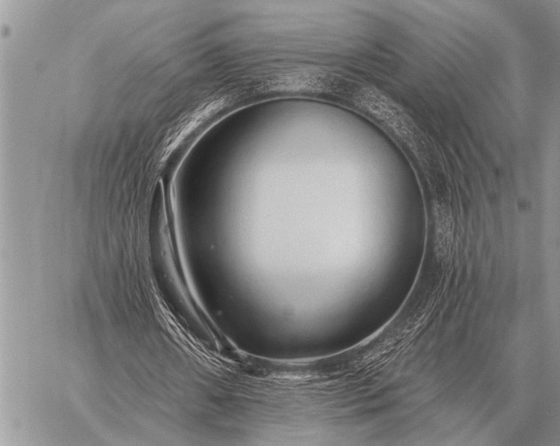 X0000059040482200510171852