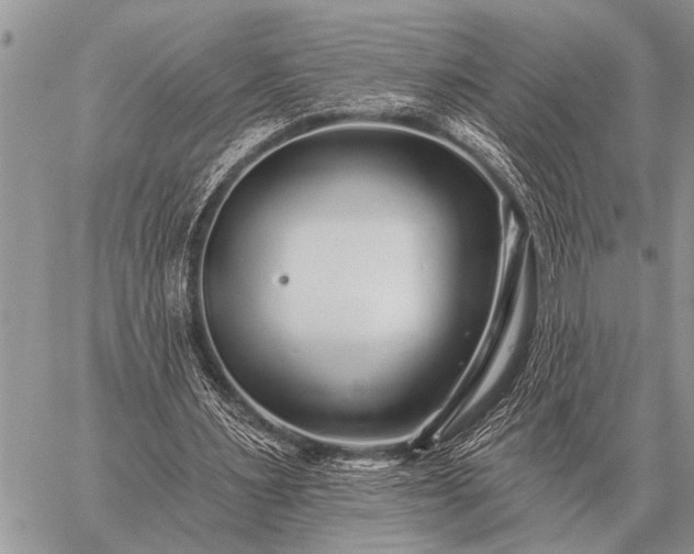 X0000059040483200510171852