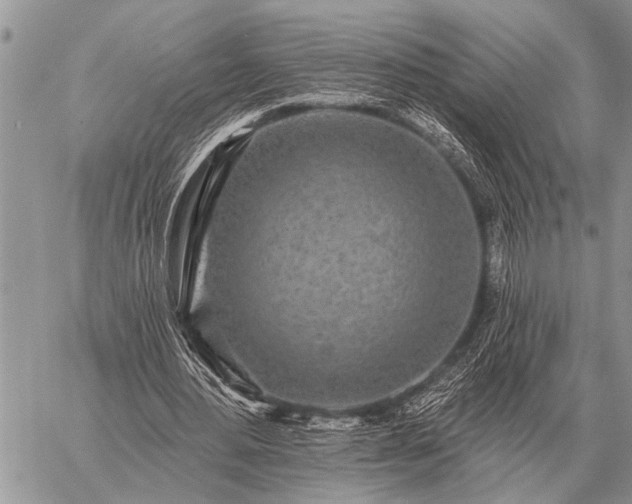 X0000059040484200510171852