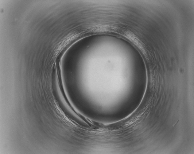 X0000059040485200510171852