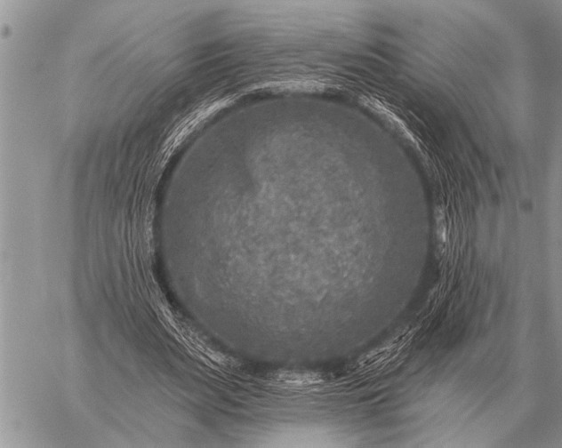 X0000059040487200510171852