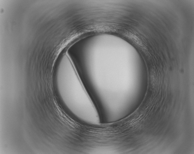 X0000059040488200510171852