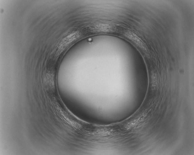 X0000059040489200510171852