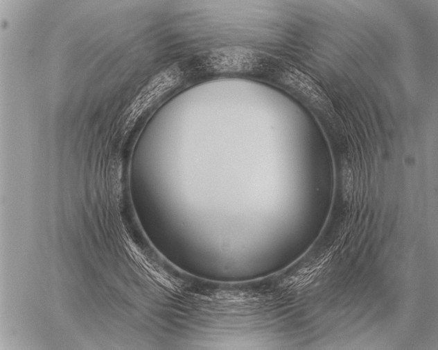 X0000059040490200510171852