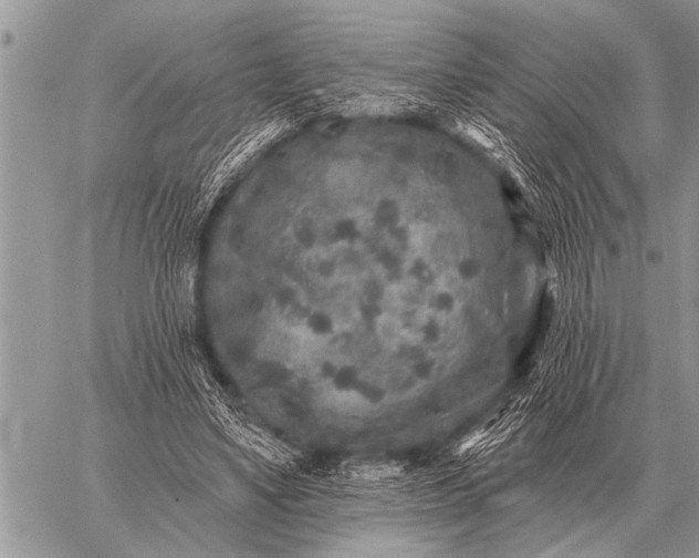 X0000059040491200510171852