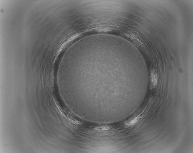 X0000059040492200510171852