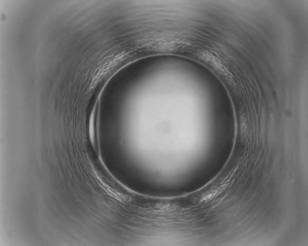 X0000059040493200510171852