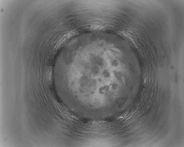 X0000059040495200510171852