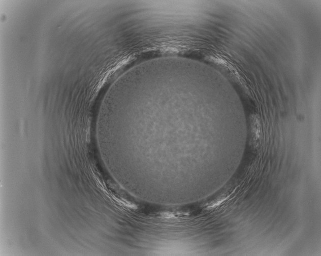 X0000059040496200510171852