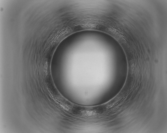 X0000059040498200510171852